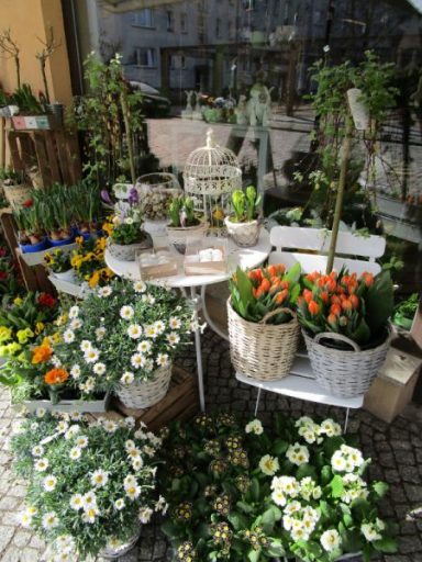 Blühender Blumenstand arrangiert auf einem weißen Tisch und weißen Stühlen mit bunten Pflanzen und dekorativen Körben.