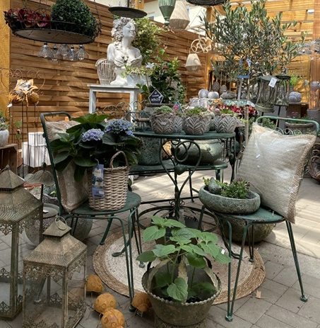 Blühende Pflanzen, Töpfe und einladende Möbel in einem Garten- oder Blumenladen.