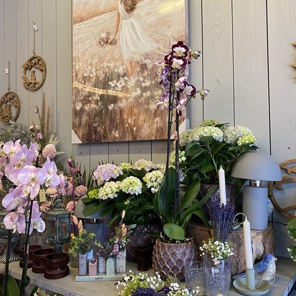 Bunte Blumenarrangements und eine stilvolle Lampe in einem gemütlichen Raum.